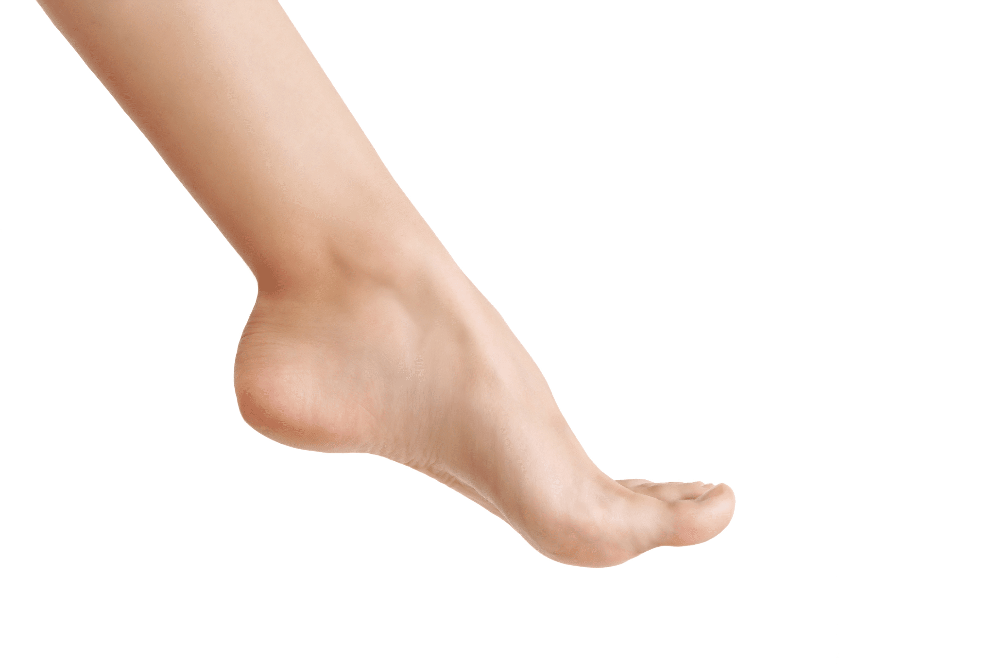 beautiful well-groomed leg on a white isolated background. the concept of healthy legs. women's ankle